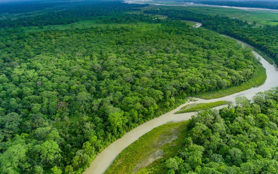 Jaldapara National Park